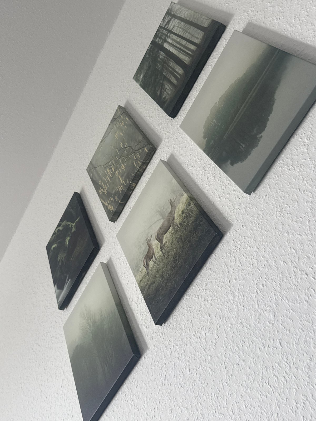 Nature-themed canvas prints arranged on a wall