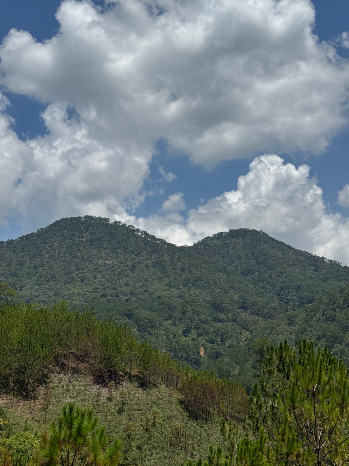 Mountain landscape observed in Da Lat Vietnam early morning