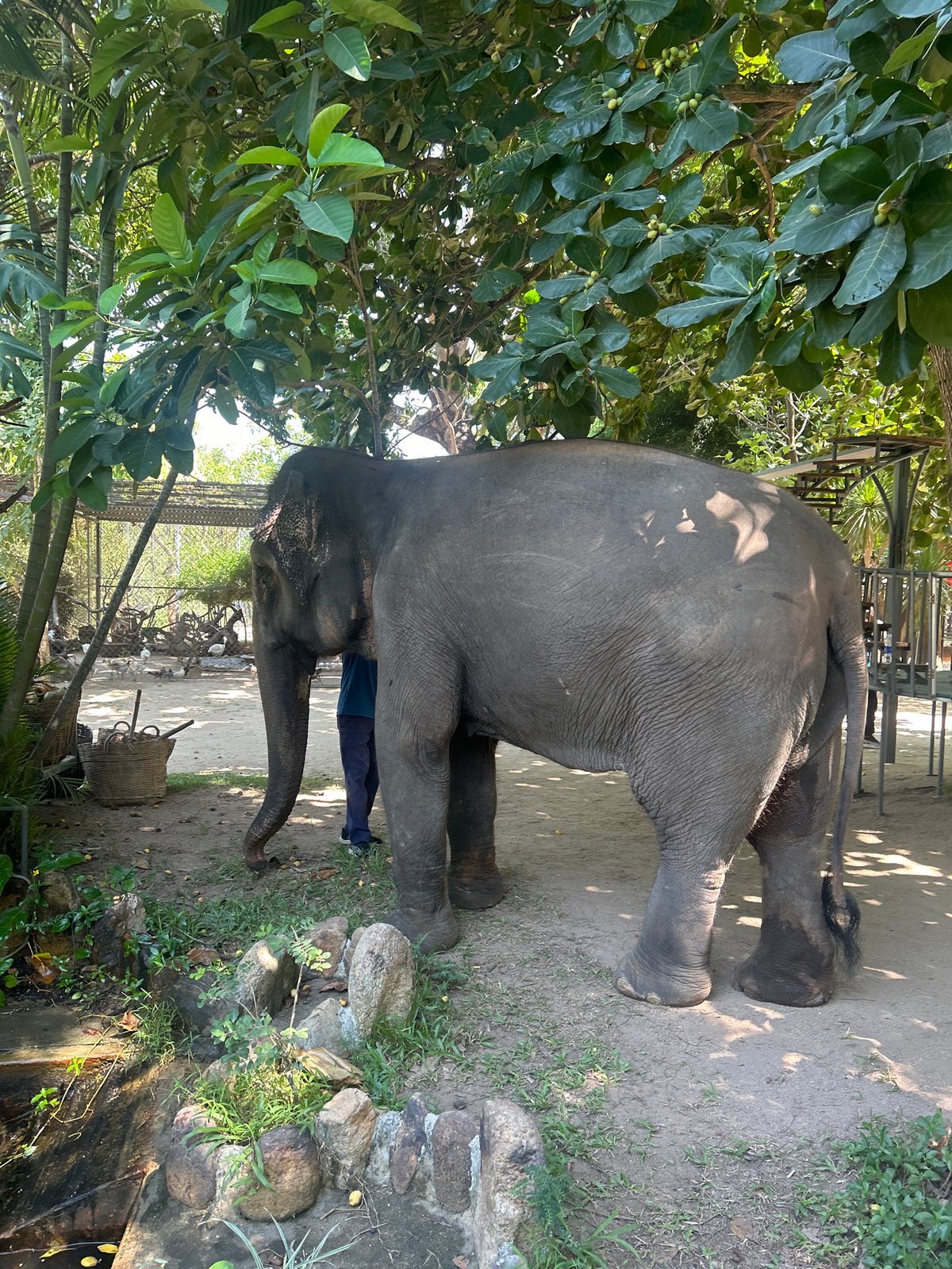Wildlife park and beach day in Hoa Thang, Vietnam