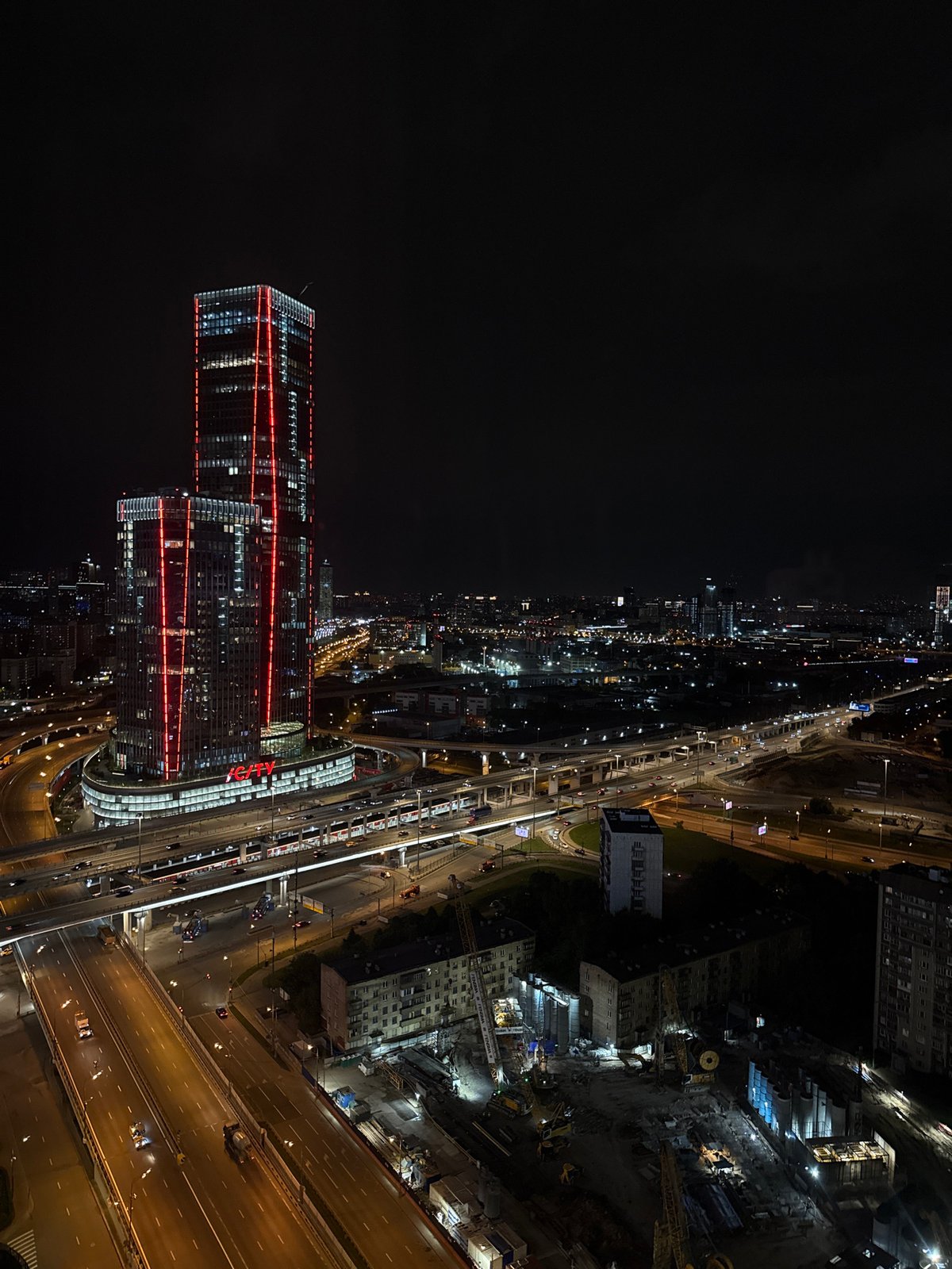 Night out near Moscow-City with dogs, selfies, and city lights
