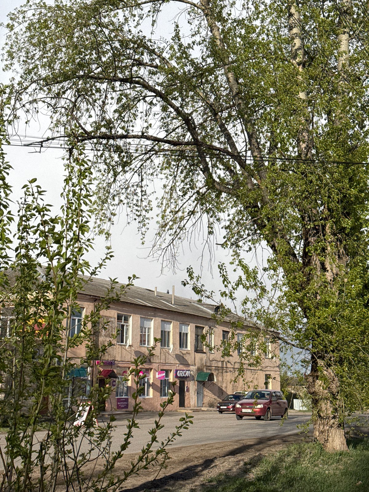 Woman in green jacket spotted on Vereshchagino street