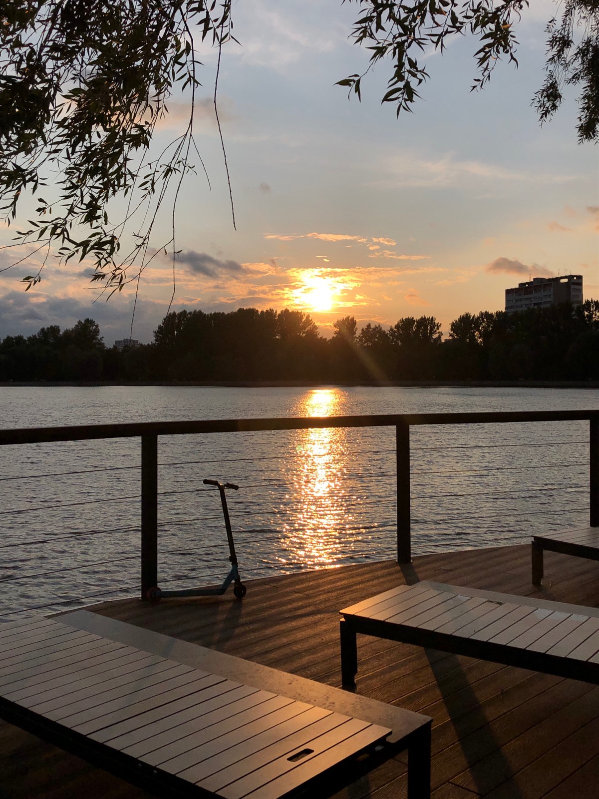 Sunset evening at Khimki Reservoir — fishing, dogs, and waterfront views