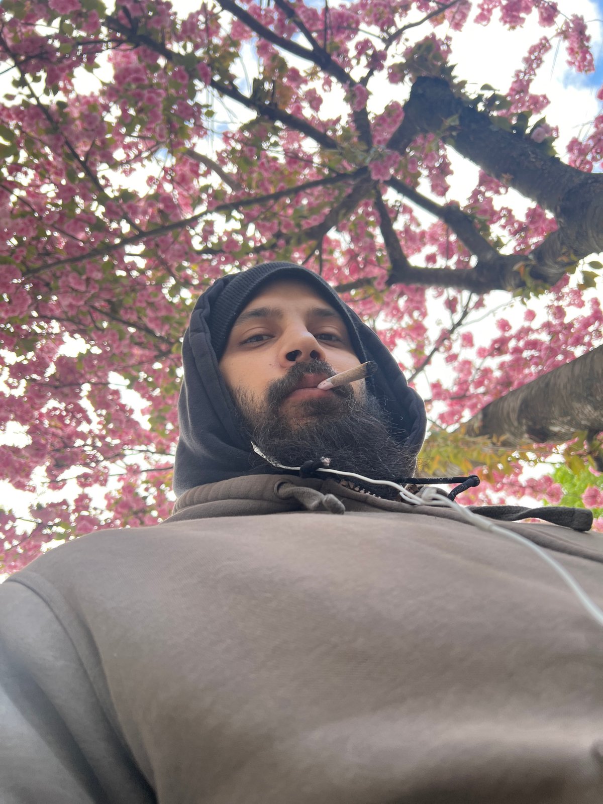 Afternoon walk through Newburgh captured in seven casual moments