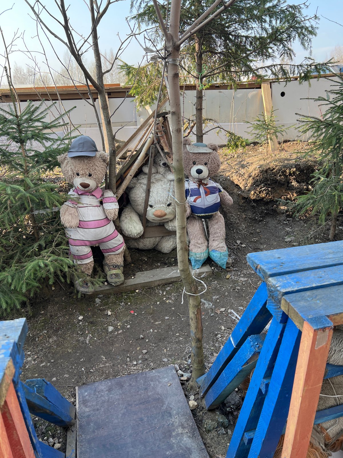 Whimsical art installation with stuffed animals documented in Saint Petersburg