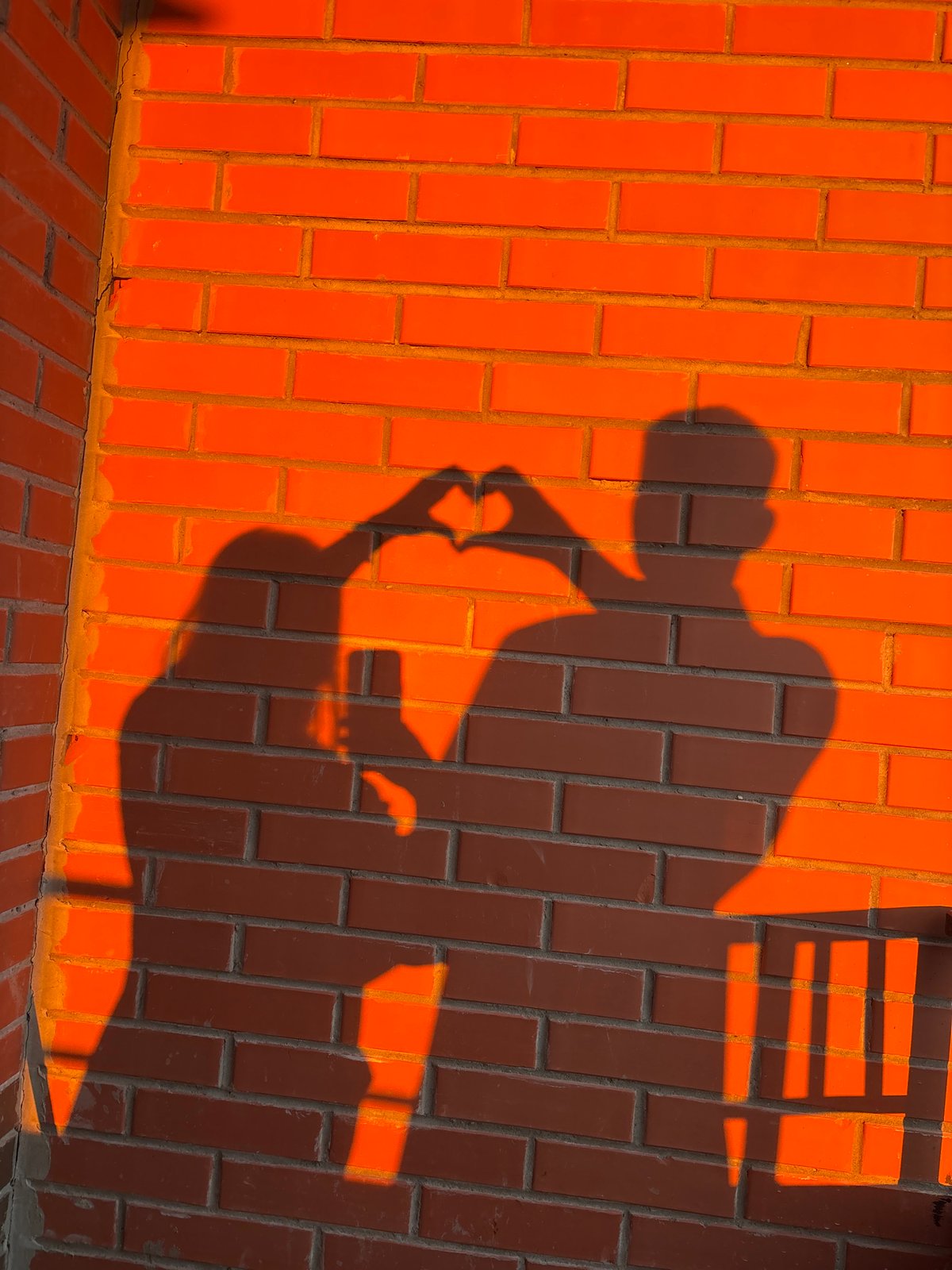 Evening snapshots capture brick walls, salon selfie, cat moments