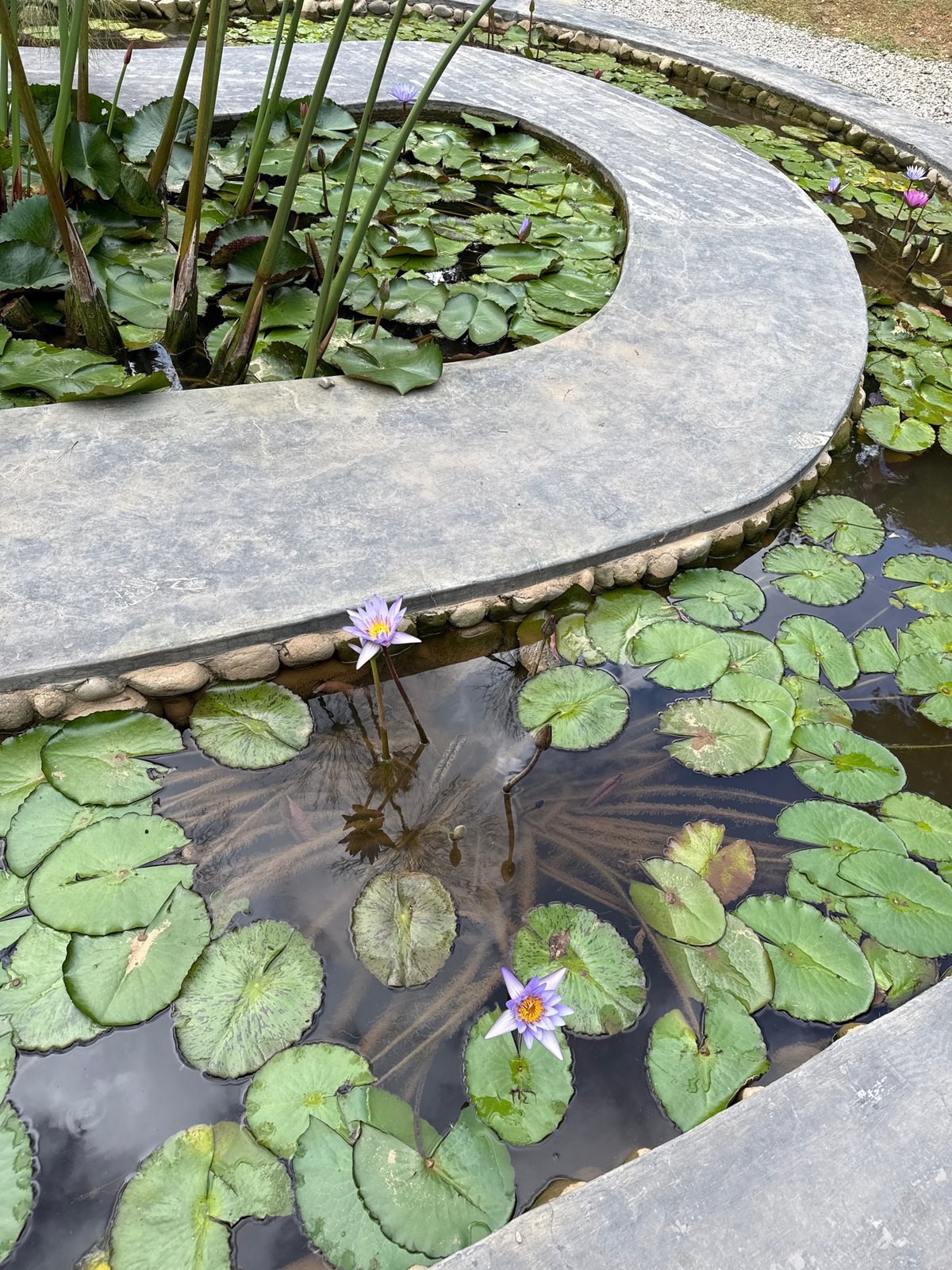 Japanese-themed tourist complex documented in Đà Lạt, Vietnam