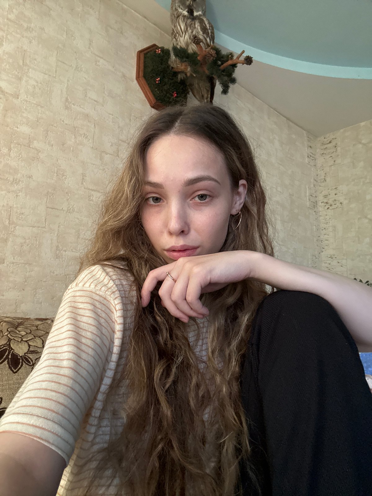 Relaxed home session with selfies, a cat, and an owl