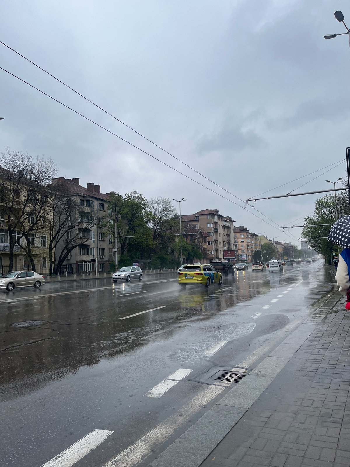 Rainy morning creates wet streets, puddles in Sofia