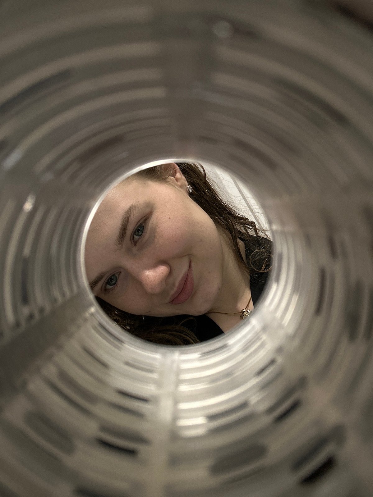 Woman spotted through metal structure opening in Studenets