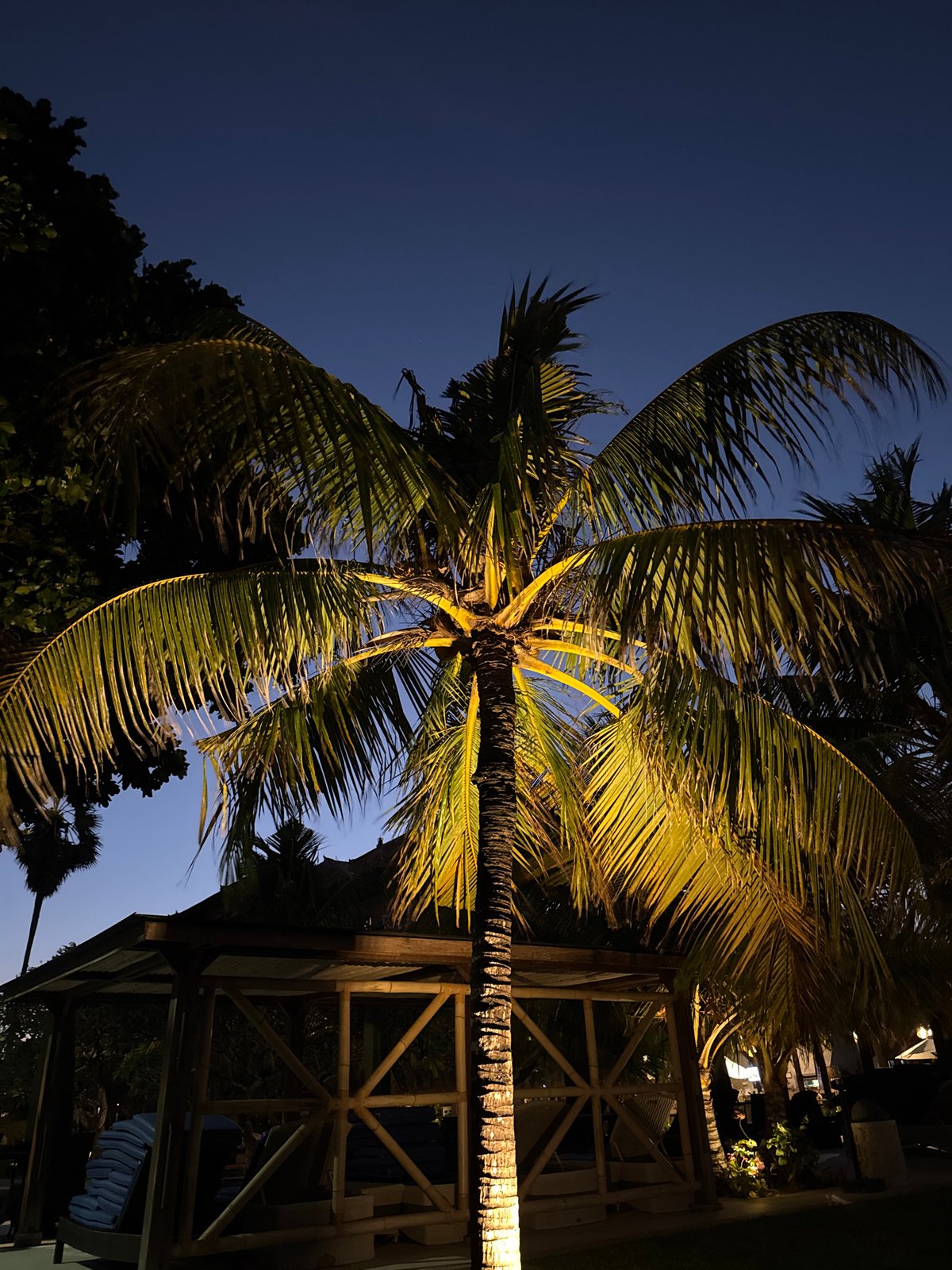 Bali resort at dusk: lit palms, glowing umbrellas, ship offshore