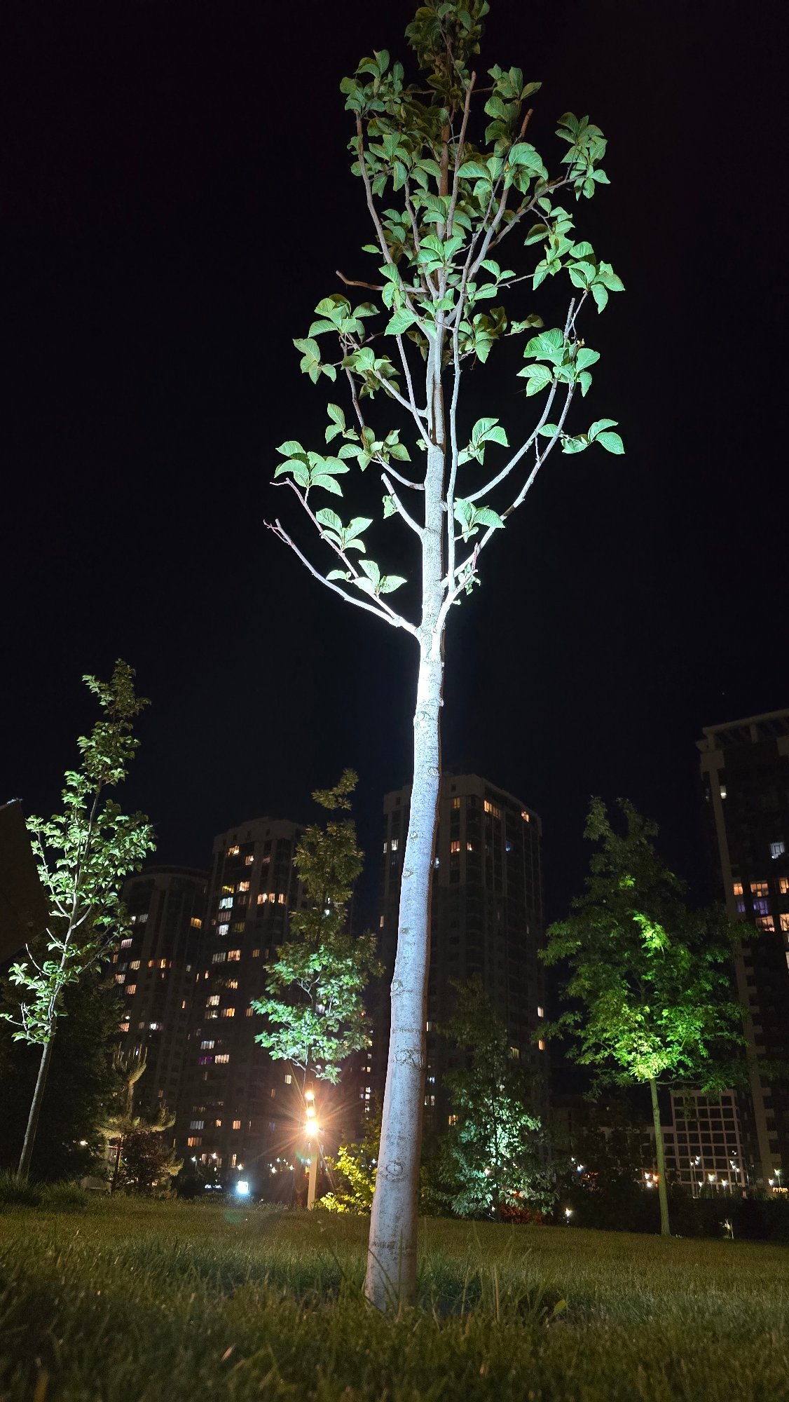 Evening stroll through illuminated Kyiv parks and streets documented