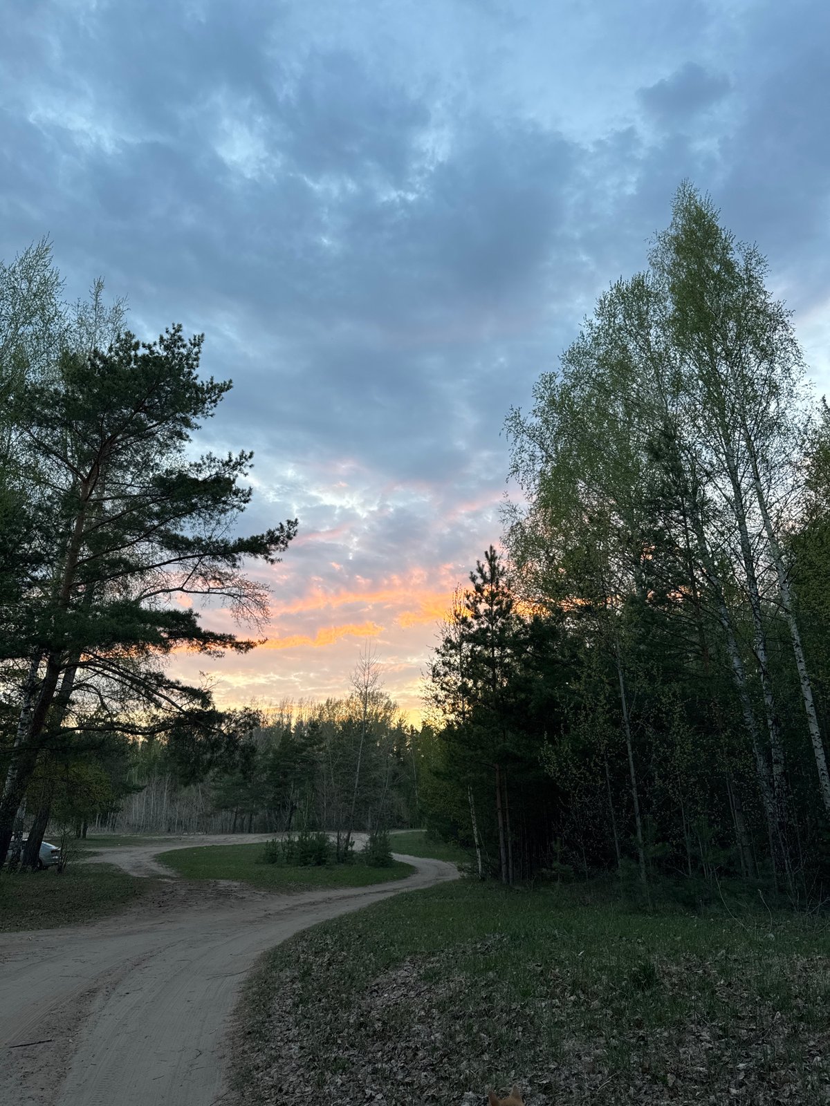 Rural dirt road photographed during sunset in Noviy, Russia