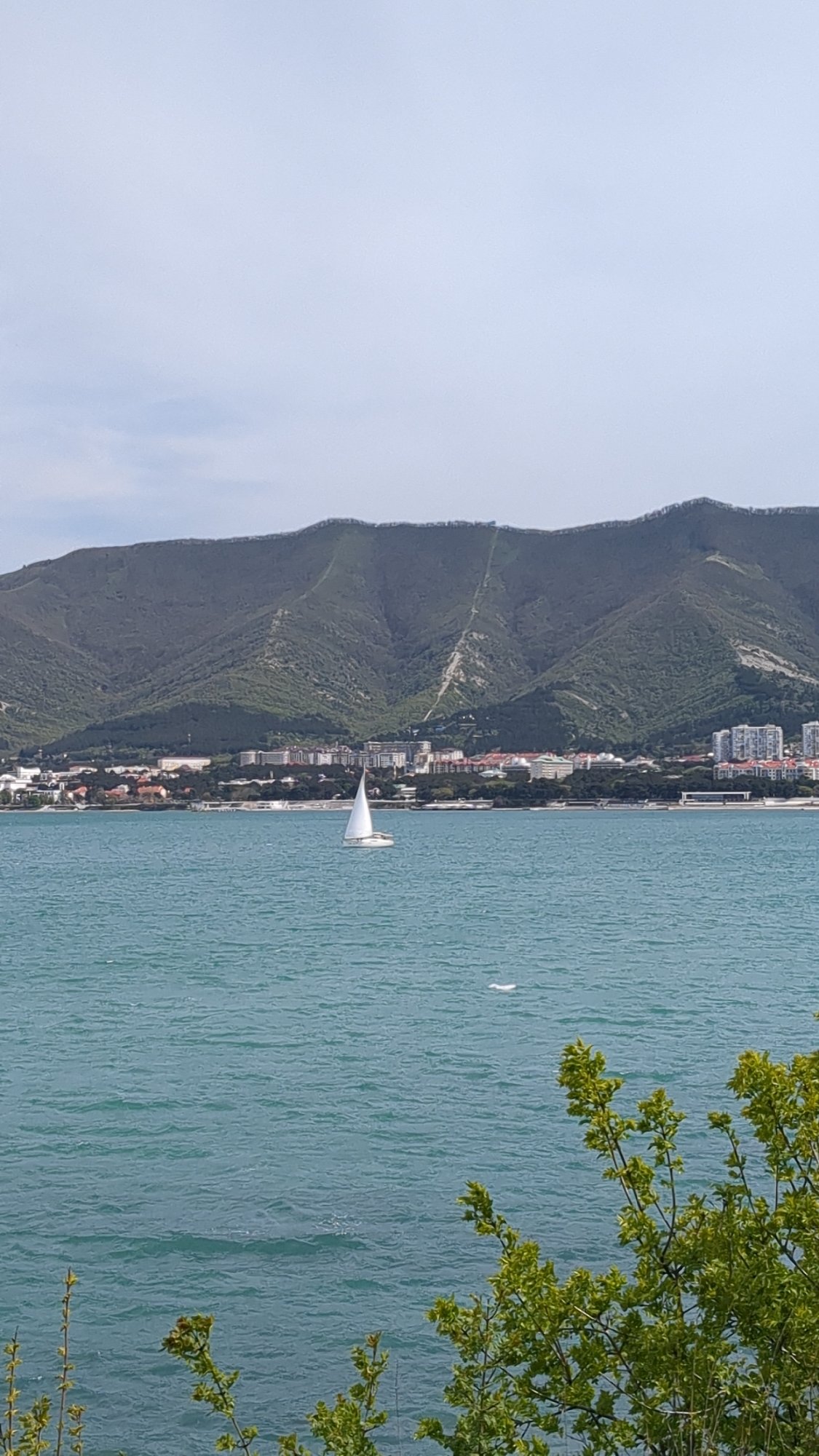 Morning scenes captured along Gelendzhik's sunny coastal promenade