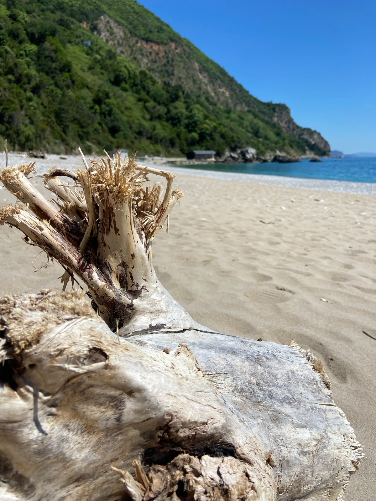 Coastal documentation captures driftwood, construction debris in Prijevor, Montenegro