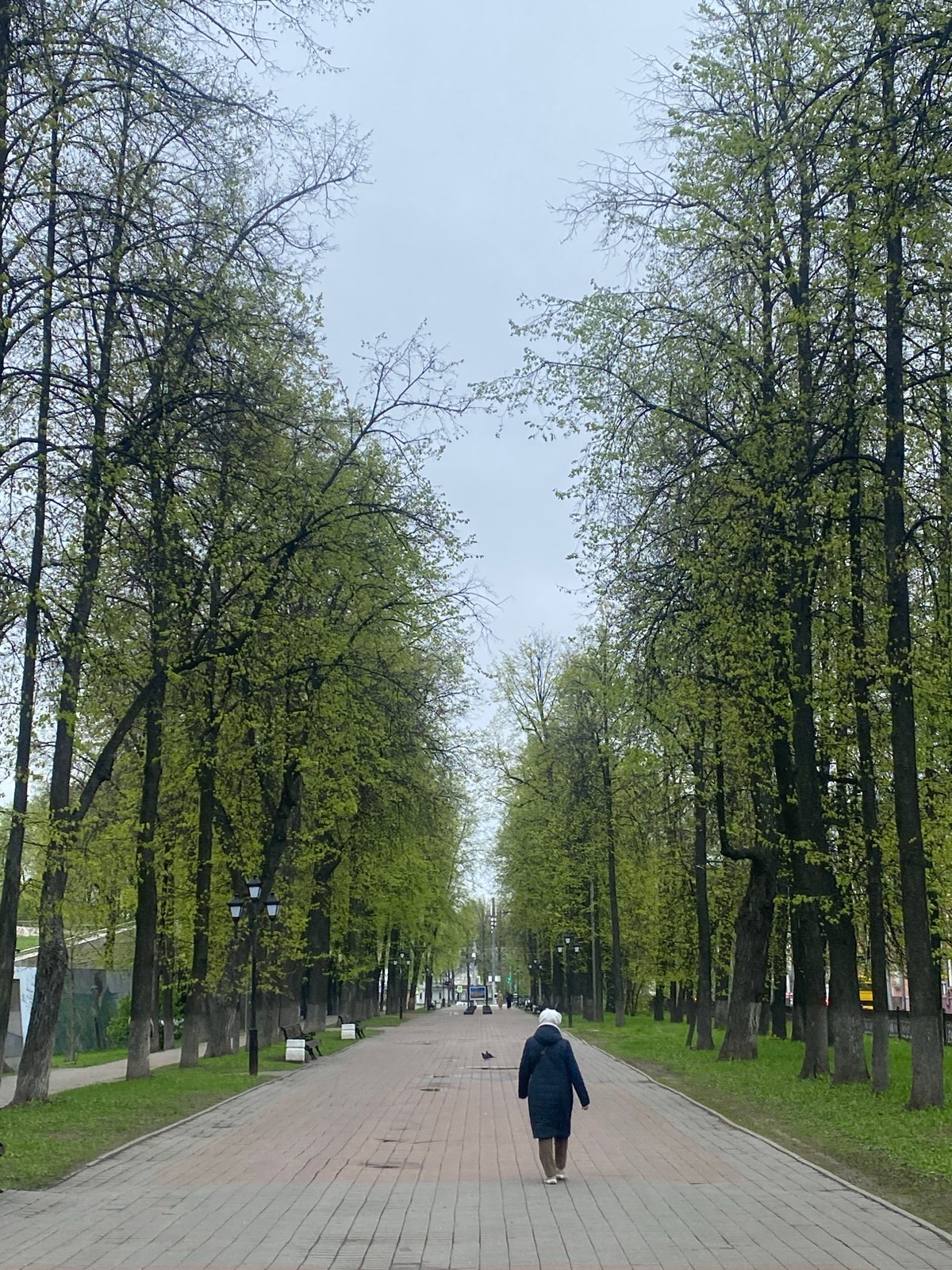 Morning scenes captured across Заволжье show typical city life