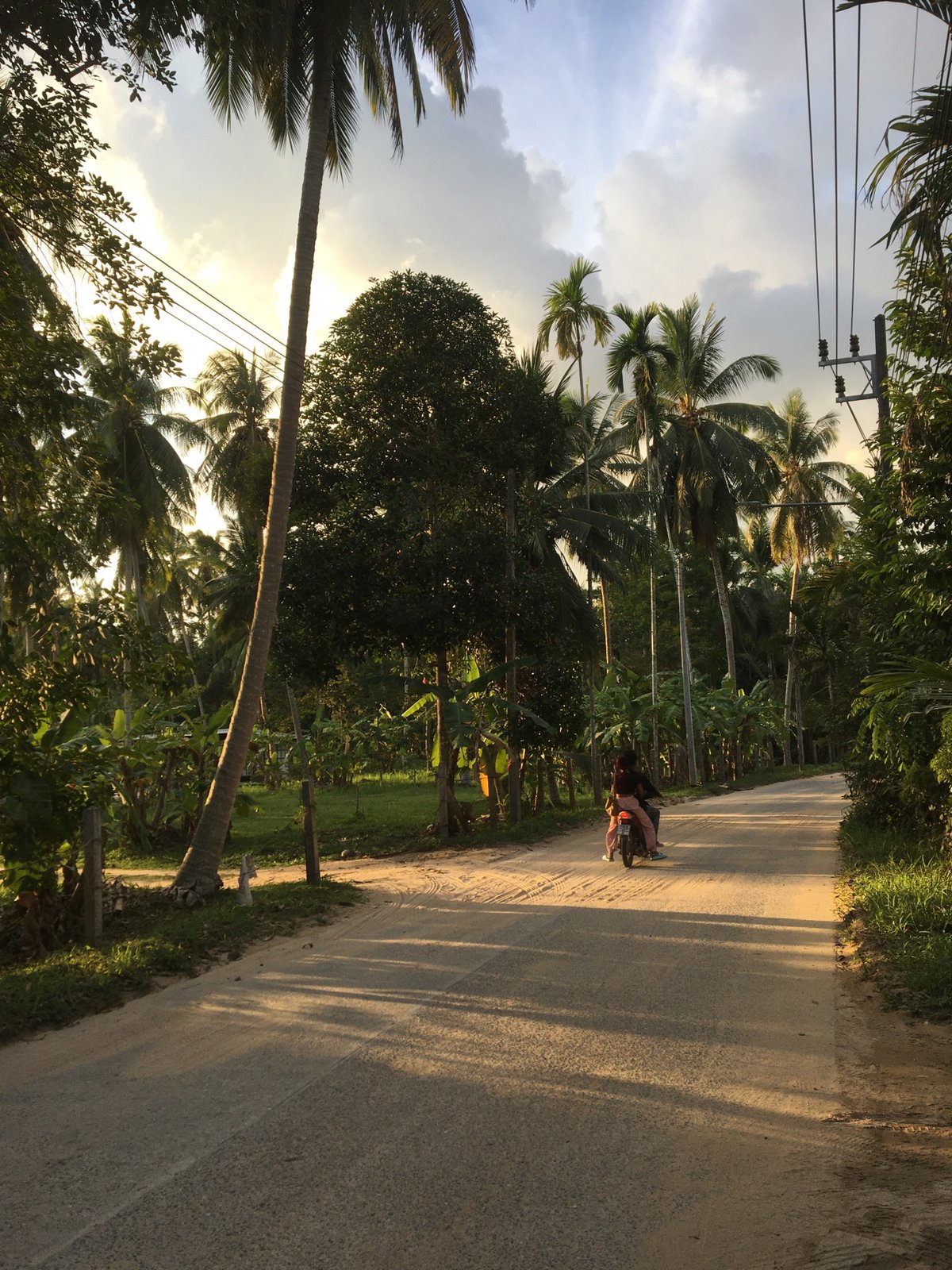 Tropical island life documented in Ko Pha-ngan, Thailand