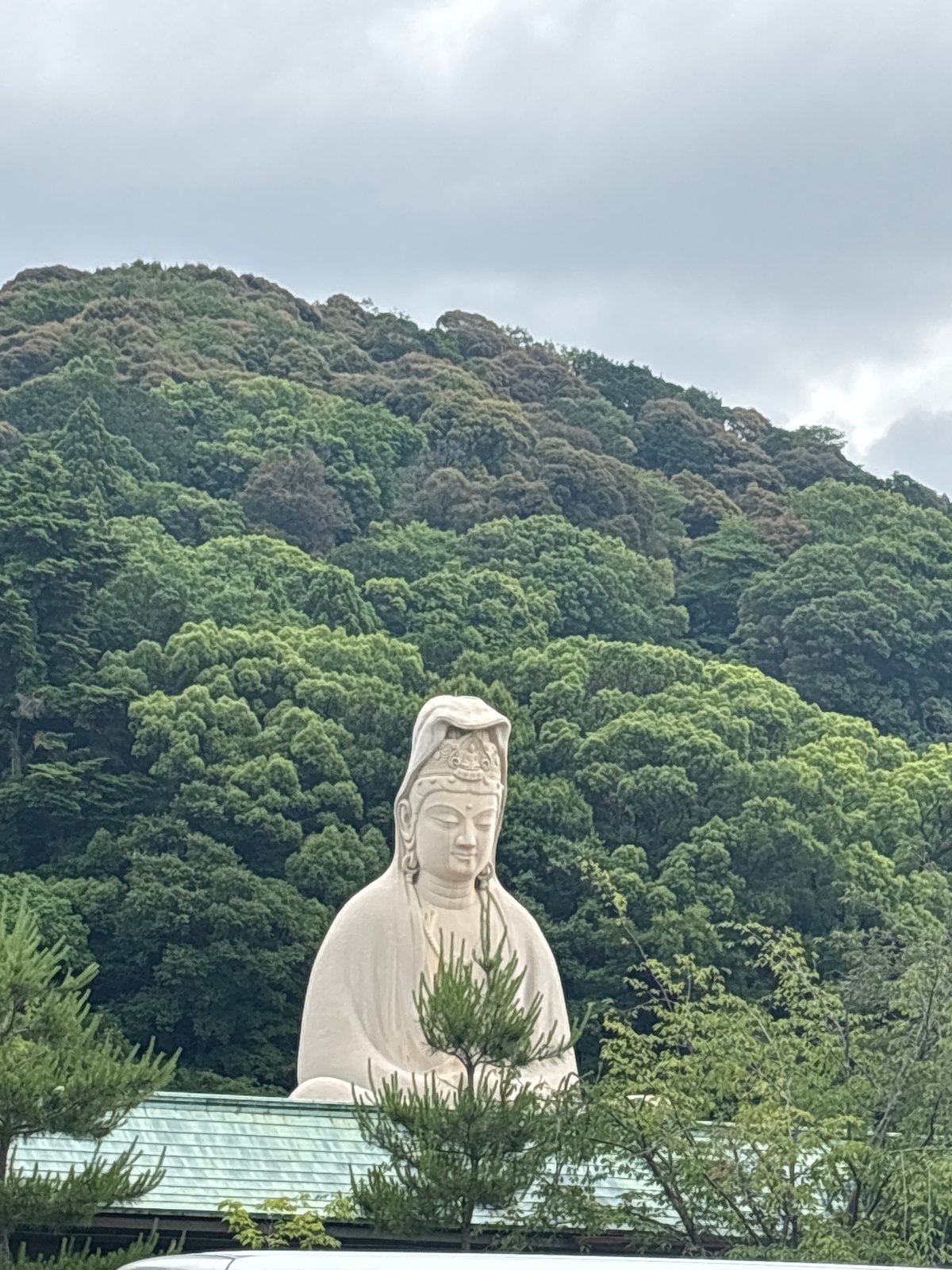 Tourist documents evening sightseeing tour through traditional Kyoto landmarks