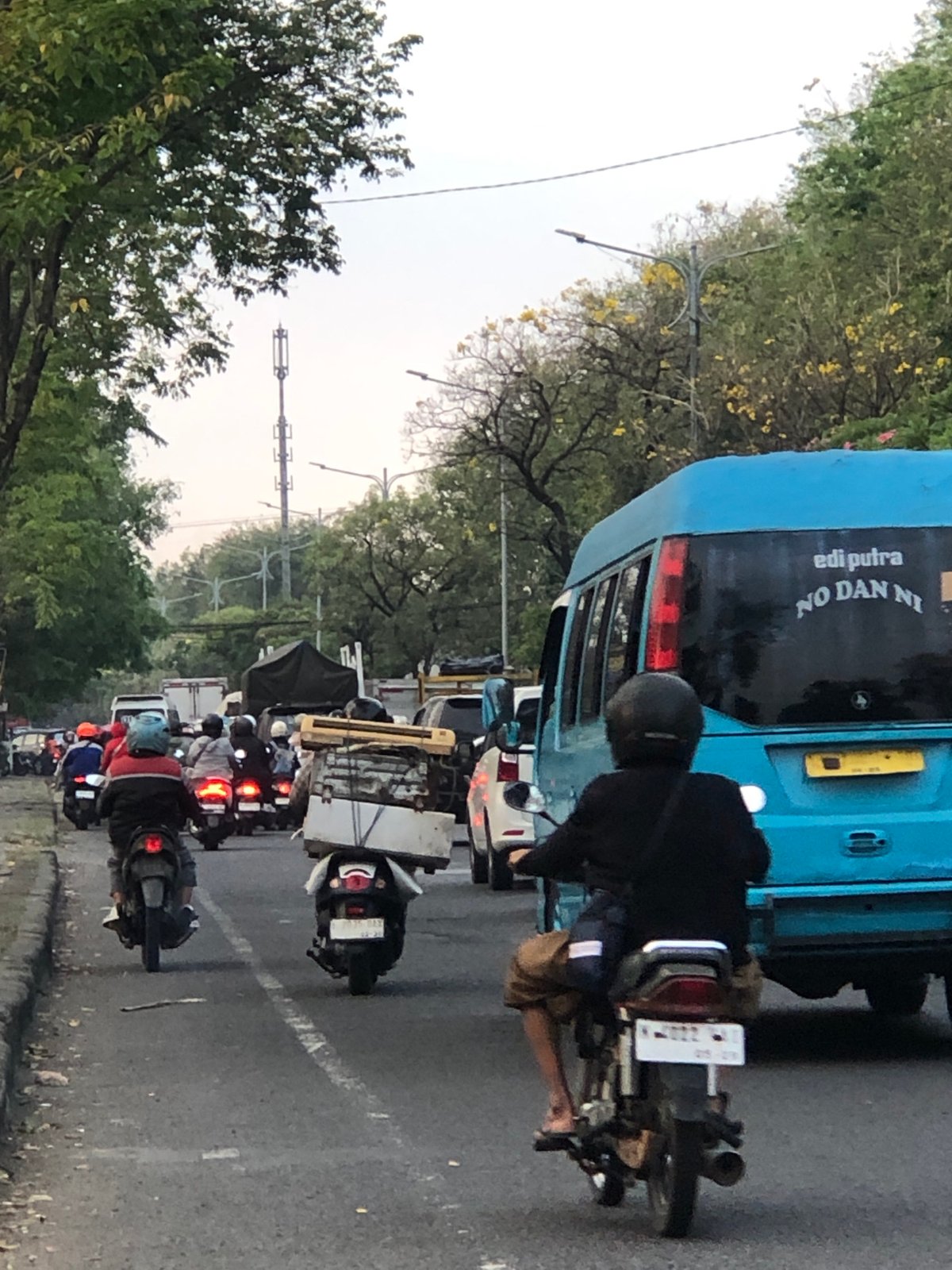 Heavy motorcycle traffic on a tree-lined road in East Java