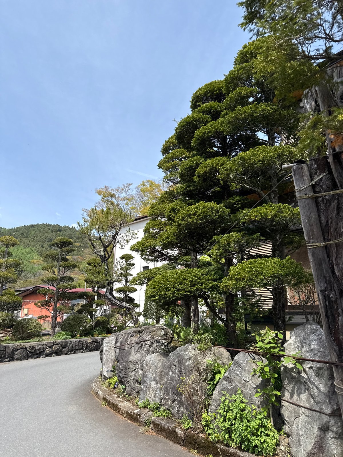 Spring landscapes photographed in Oshino village with Mount Fuji backdrop