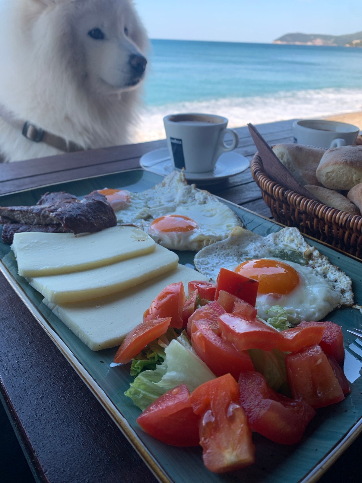 Breakfast served with sea view in Bar, Montenegro