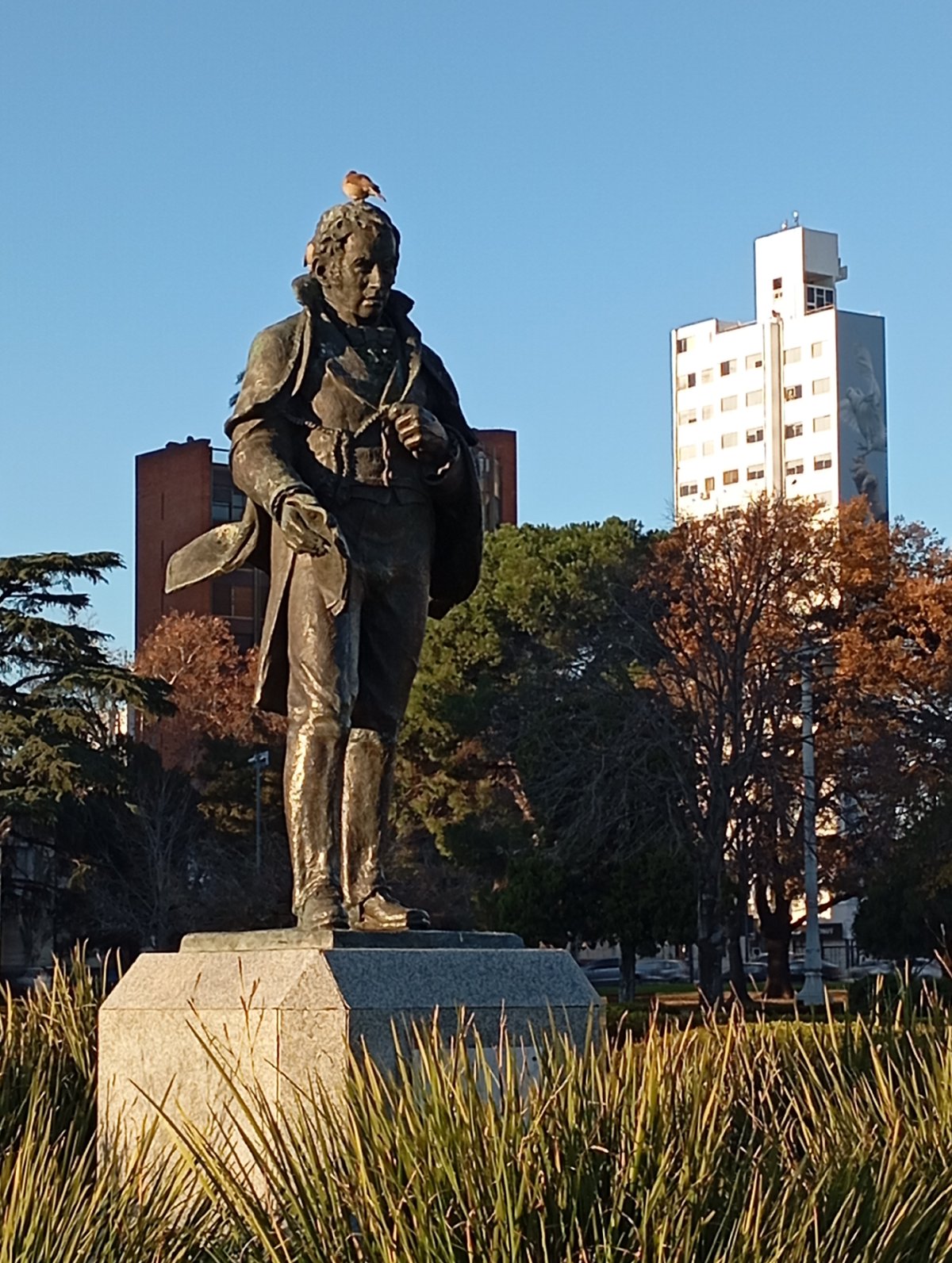 Bronze statue in La Plata park, bird perched on top
