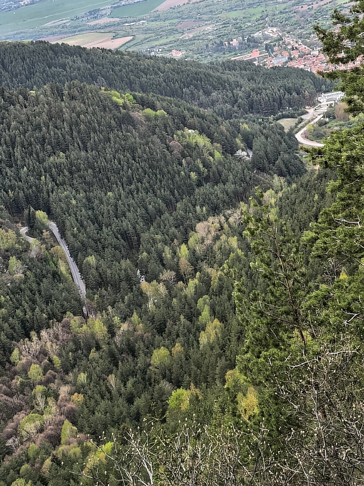 Panoramic mountain forest views captured near Sapareva Banya, Bulgaria