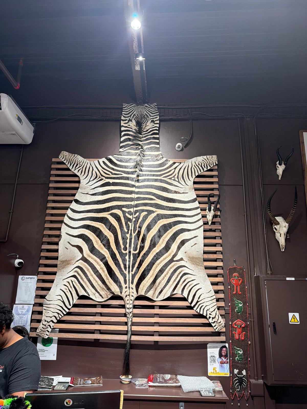 Cape Town room displays African decor, zebra rug, cultural photography