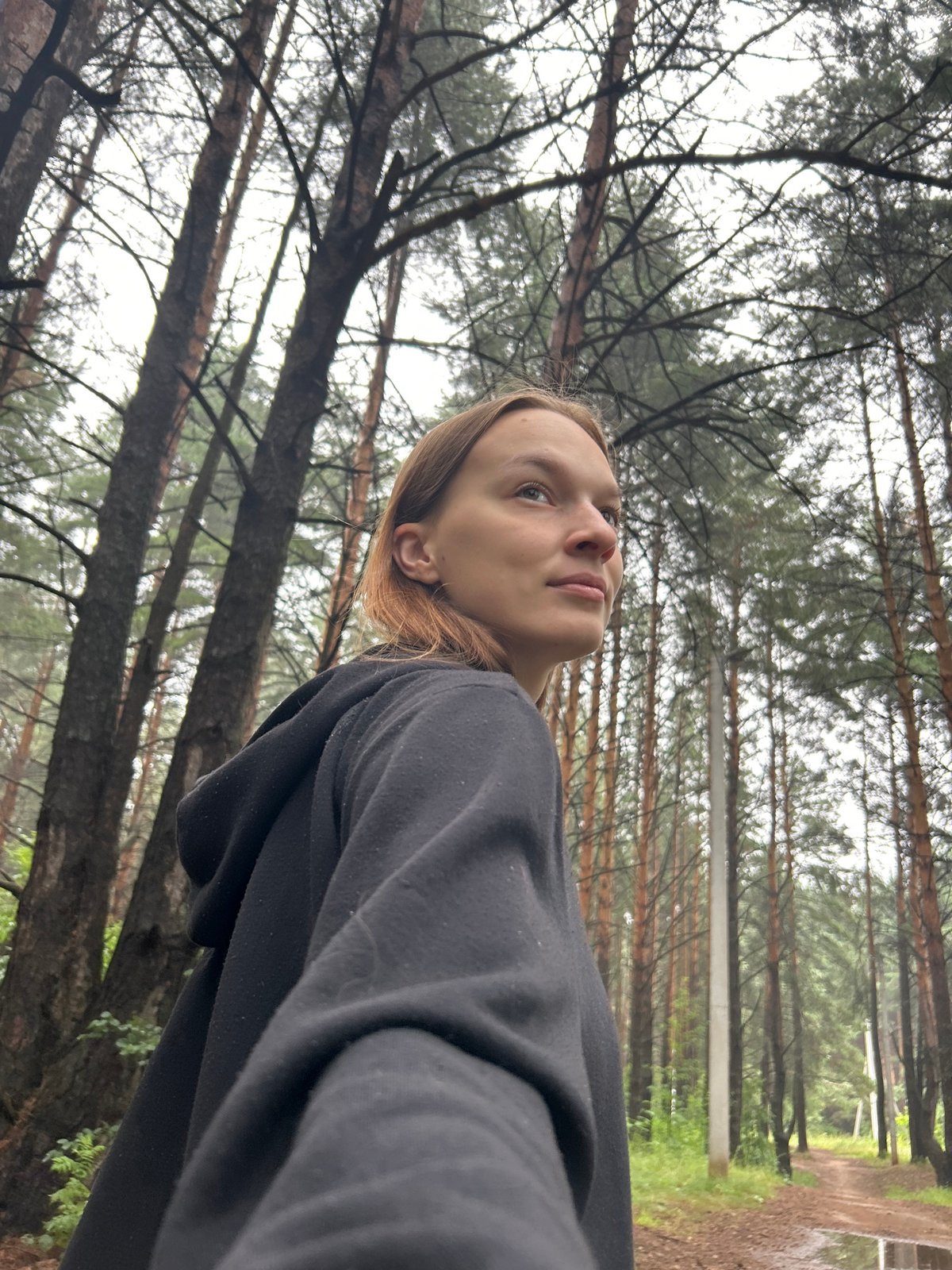Rainy pine forest walk with a dog in Chaikovsky, Russia