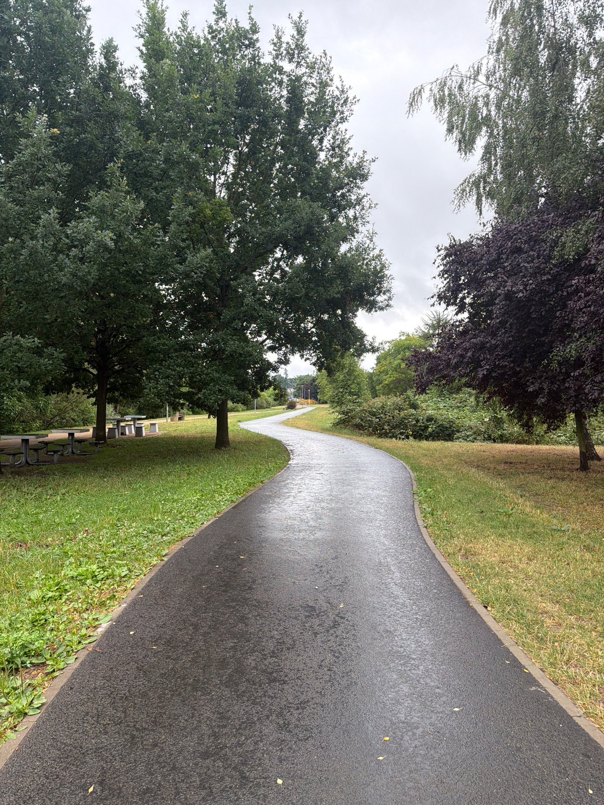 Rainy afternoon stroll through Szczecin's parks and waterways