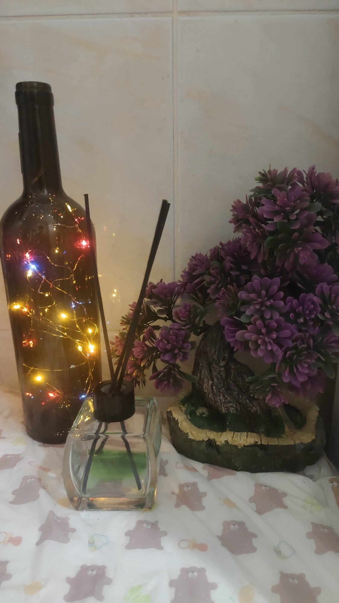 Quiet household moments with pets documented in Krasnoyarsk