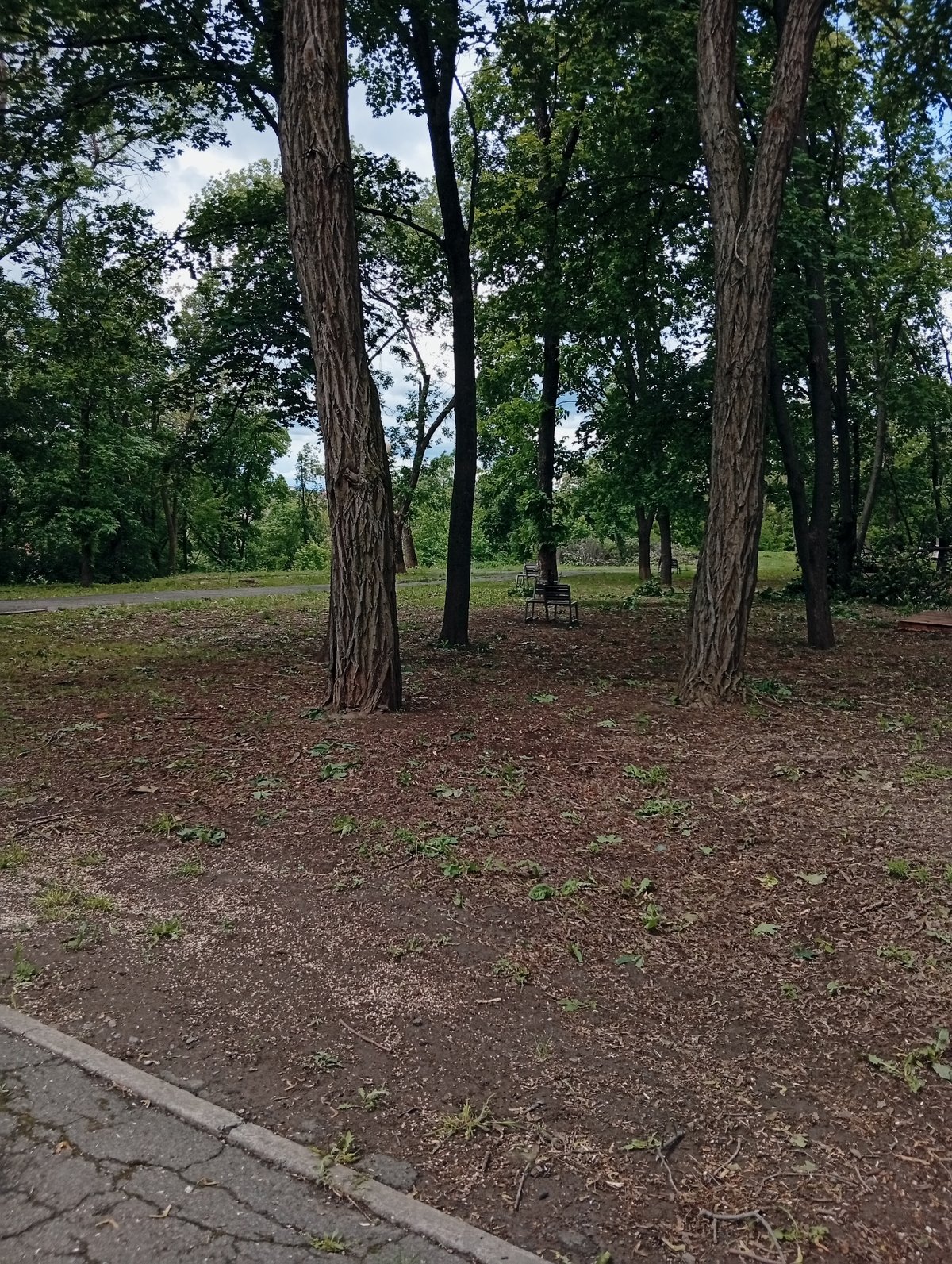 Morning scenes from parks and streets in Poltava, Ukraine