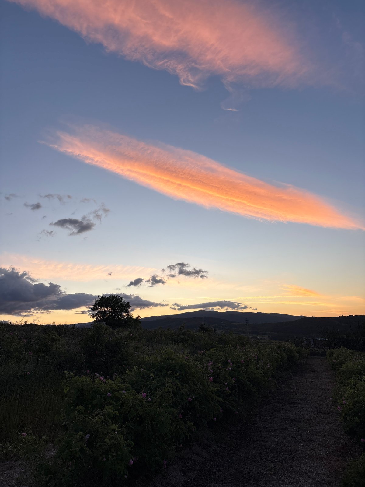 Twilight landscape captured near Strelcha, Bulgaria at dawn