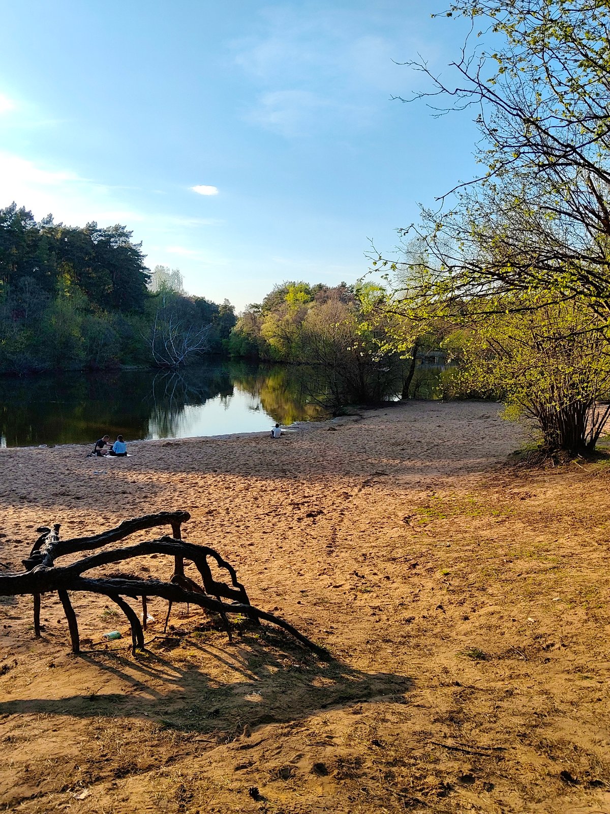 Lakeside recreation: fishing and paddleboarding captured at sandy beach