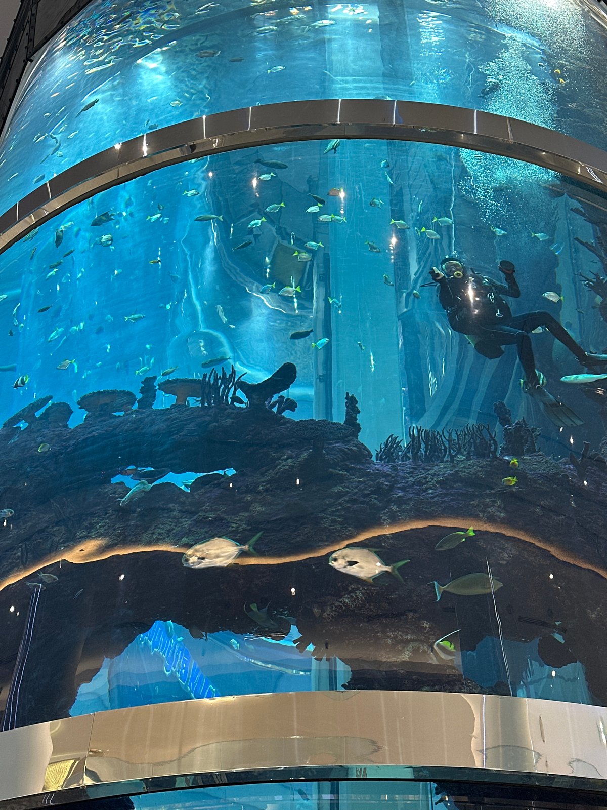 Scuba diver spotted in Moscow public aquarium