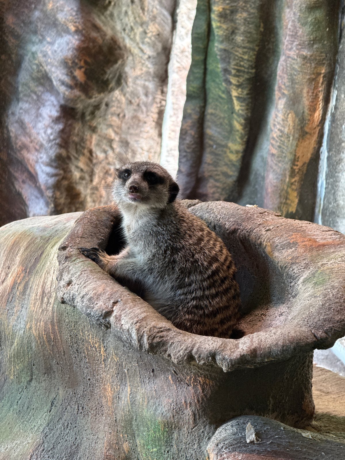 Animal encounters at Daugavpils Zoo on a July morning