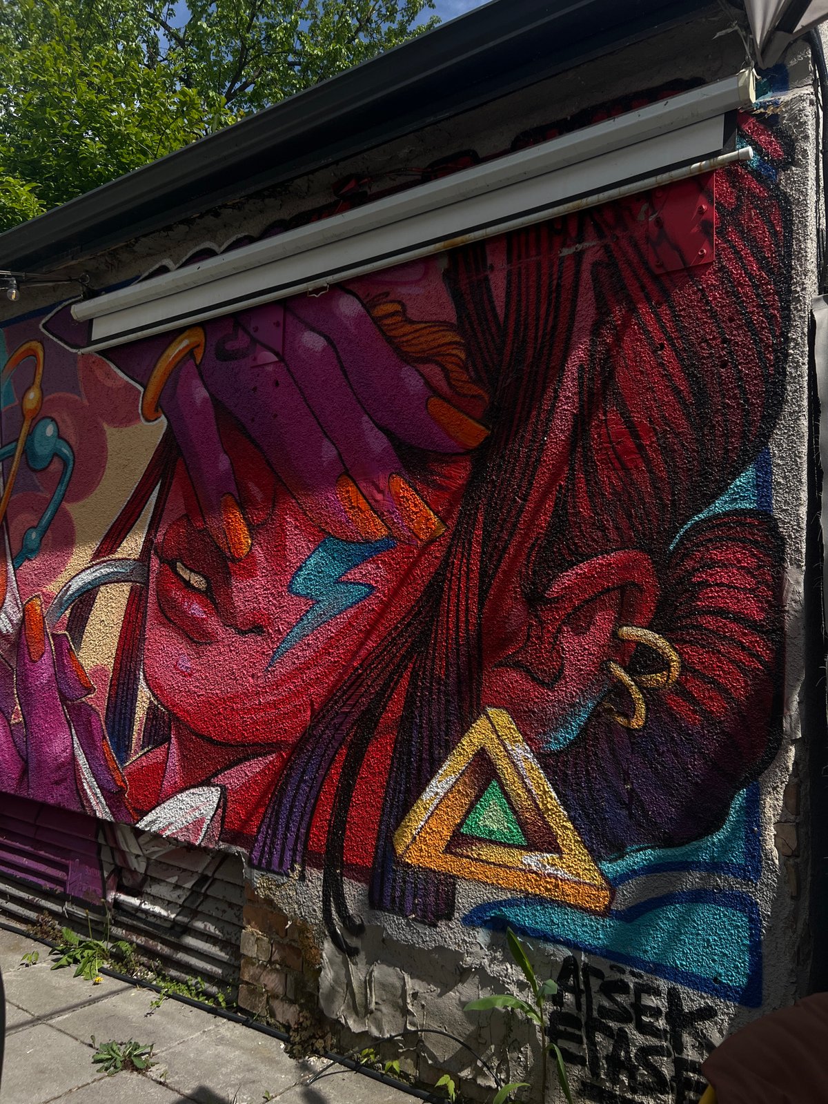 Sofia cycling event and street art documented across city