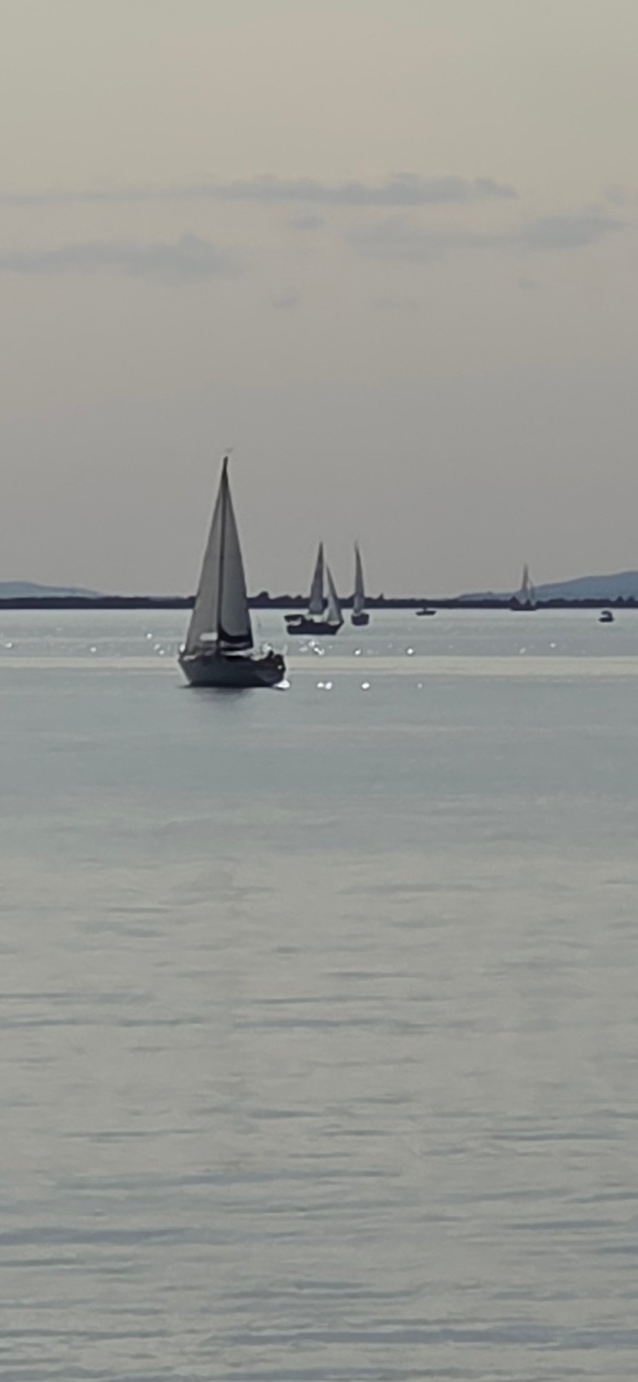 Sailboats on Lake Constance under an overcast Alpine sky