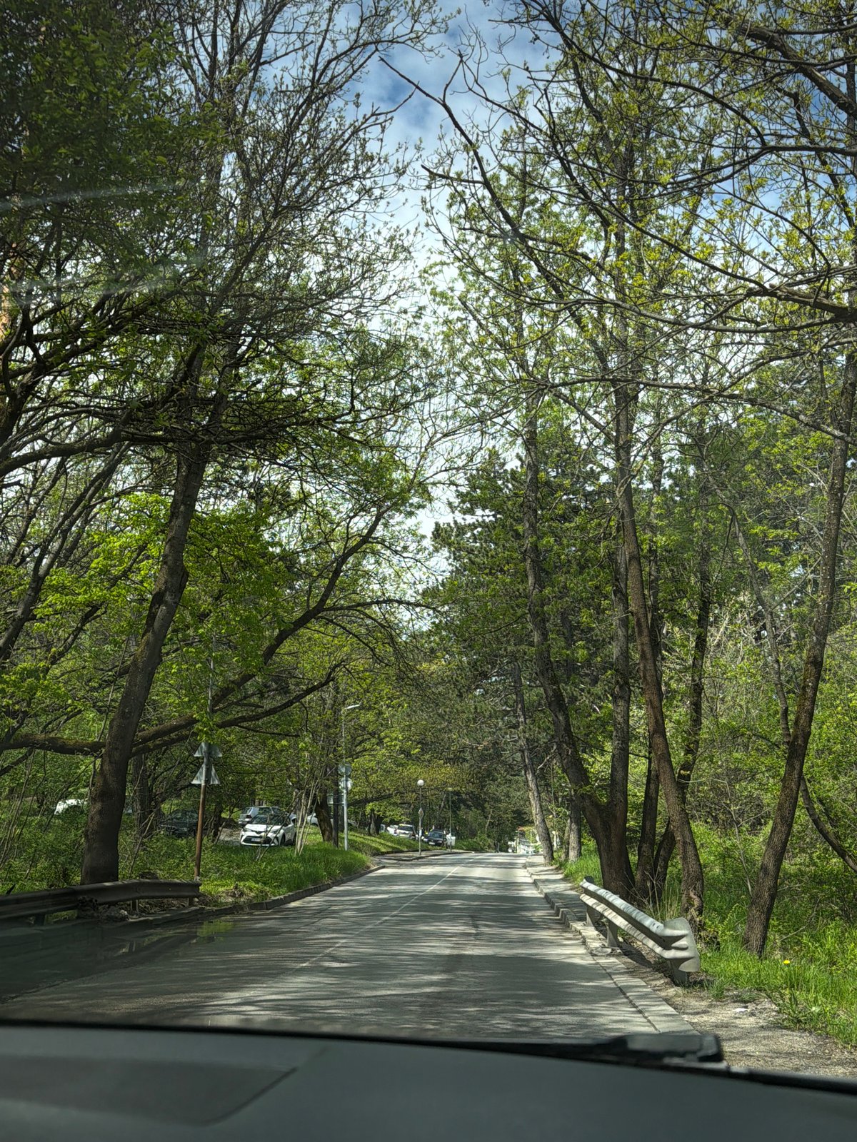 Tree-lined park road documented in Sofia, Bulgaria