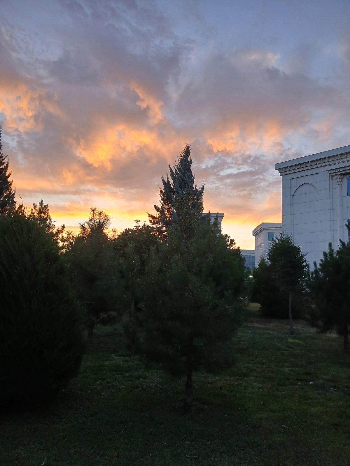 Tashkent civic boulevard at golden hour, gardens and grand facades