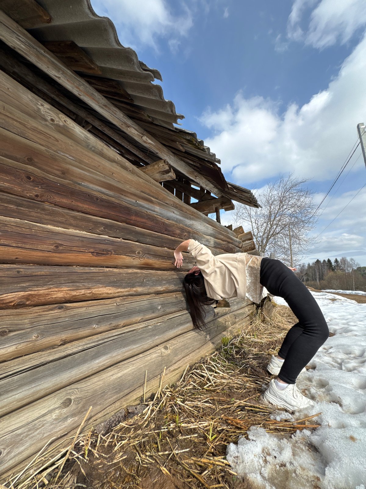 Farm animals observed in rural Russian village during spring morning