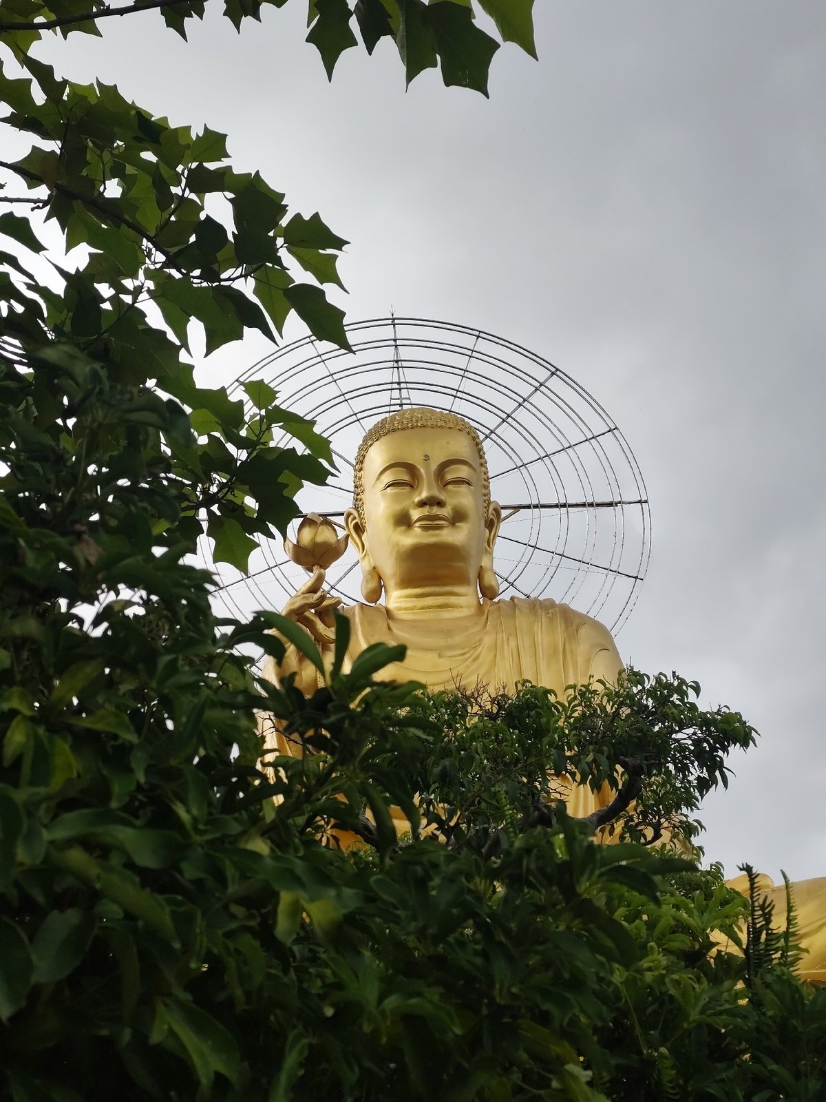 Buddhist temple visit in Đà Lạt with golden Buddha statue