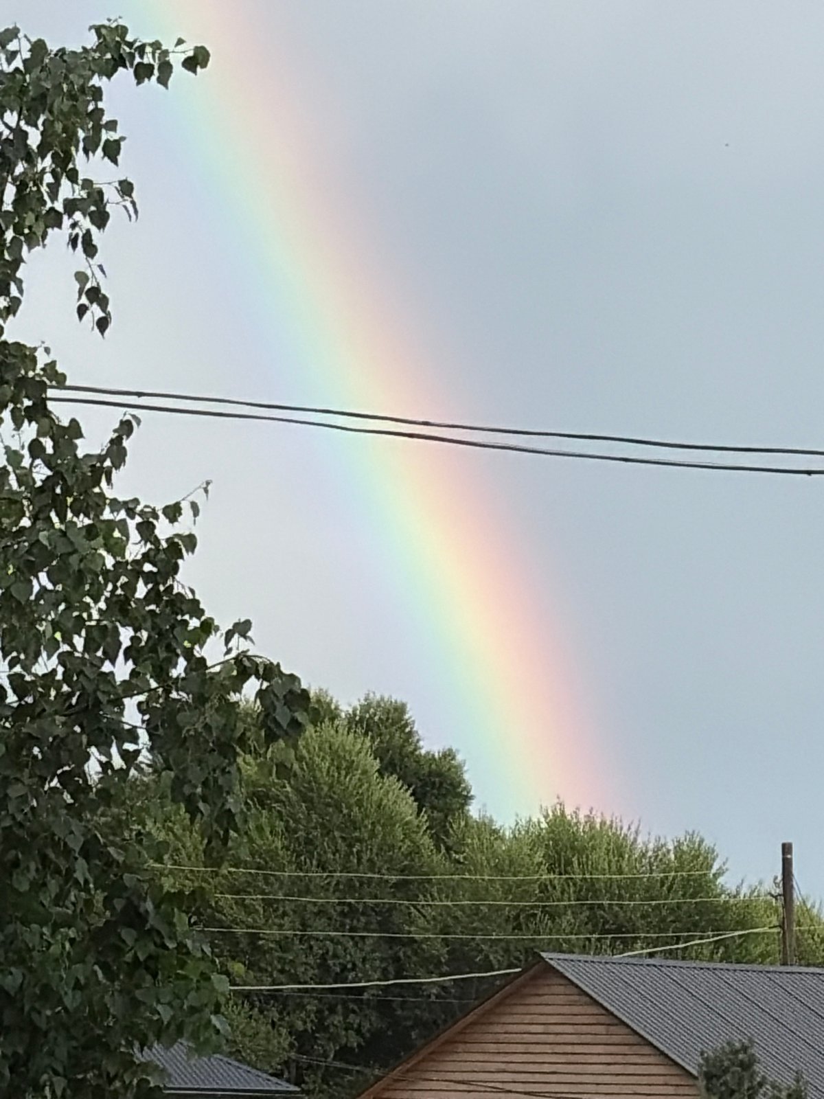 Muted rainbow over cloudy skies and green trees