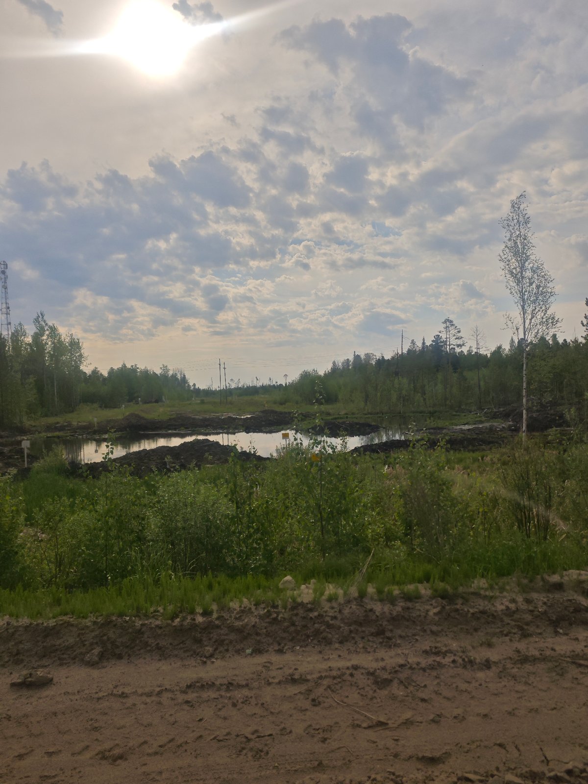 Dirt road through undeveloped landscape captured by witness