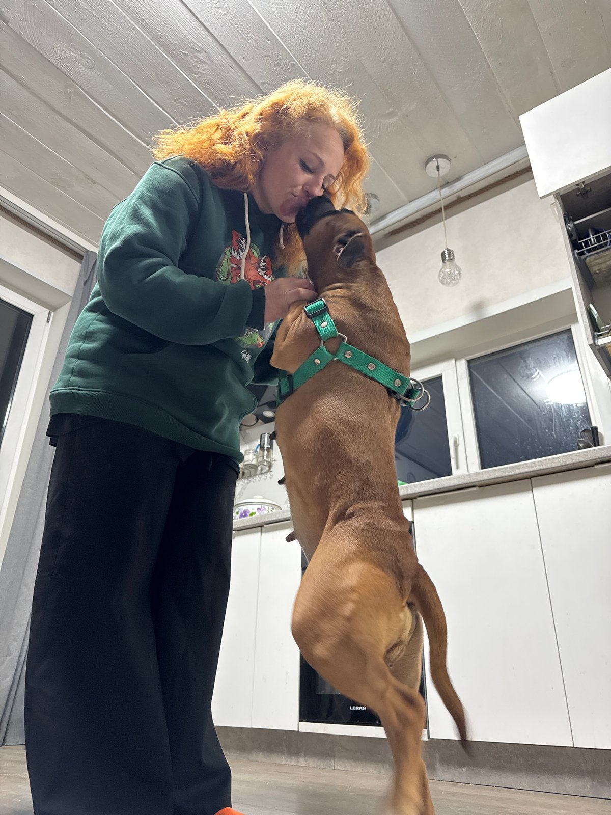 Woman and dog share moment in Chaikovsky kitchen