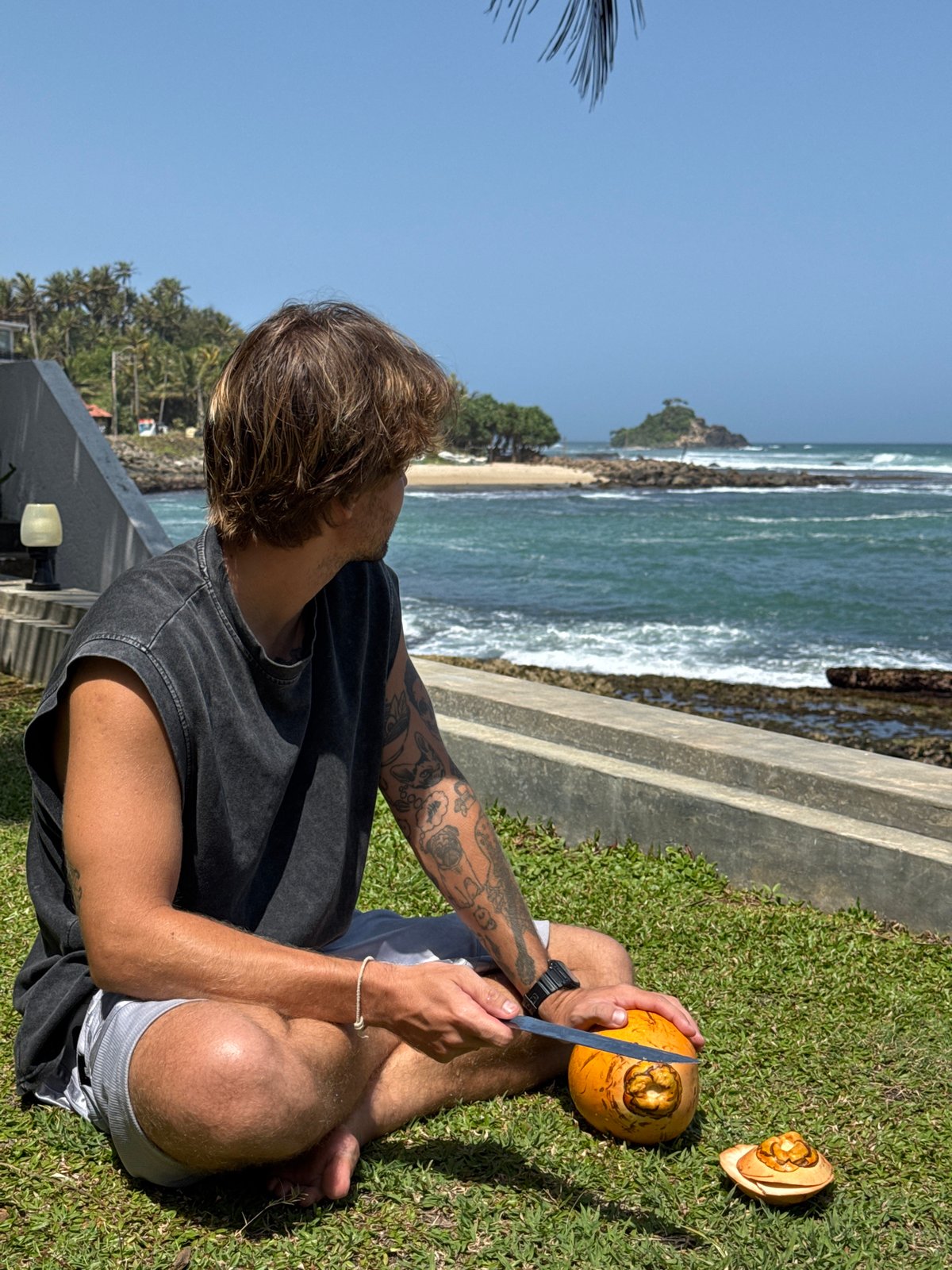 Coconuts and ocean views on a Sri Lankan coastal lawn
