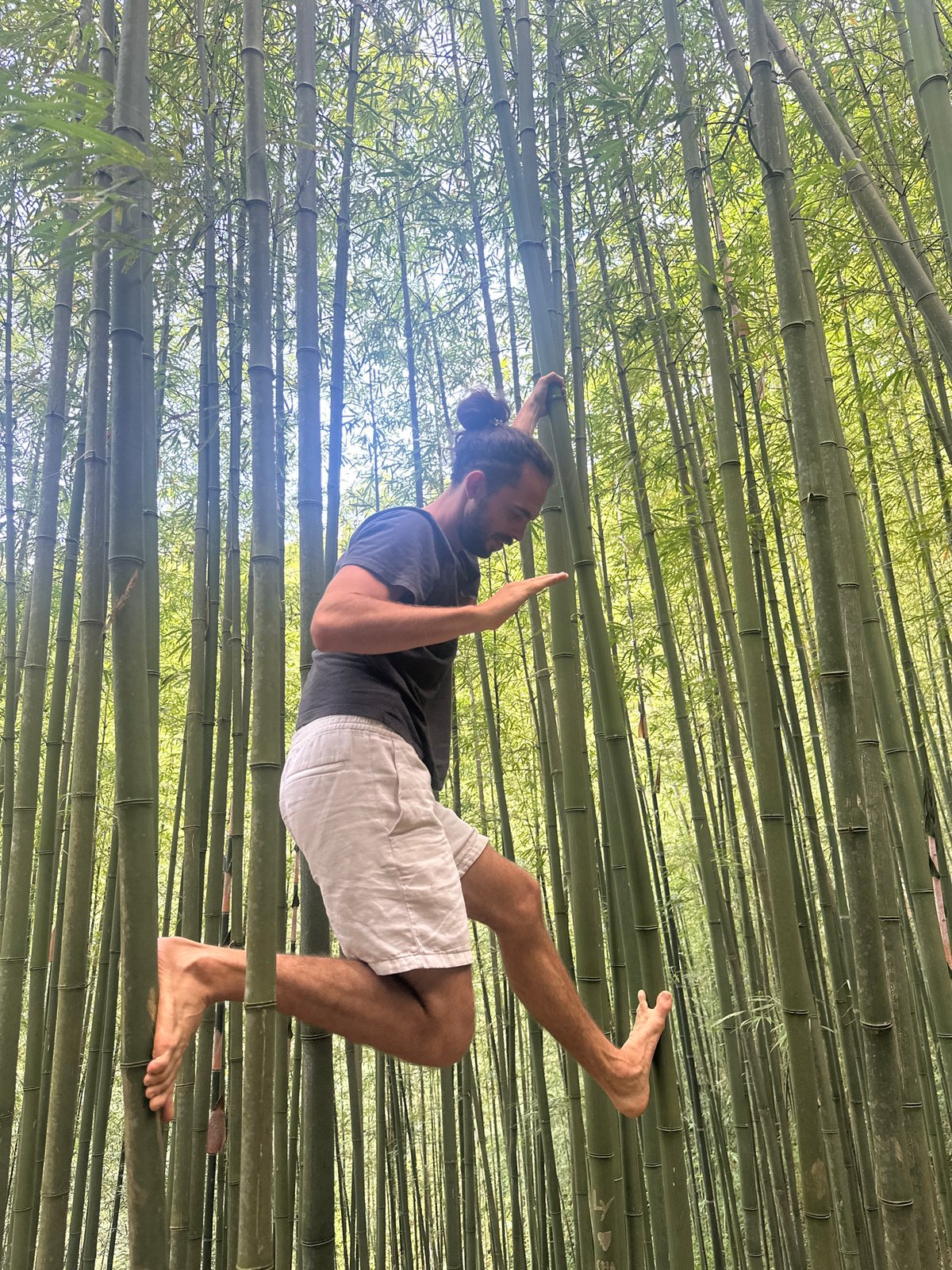 Morning bamboo forest visit captured in Ngã Ba Kim