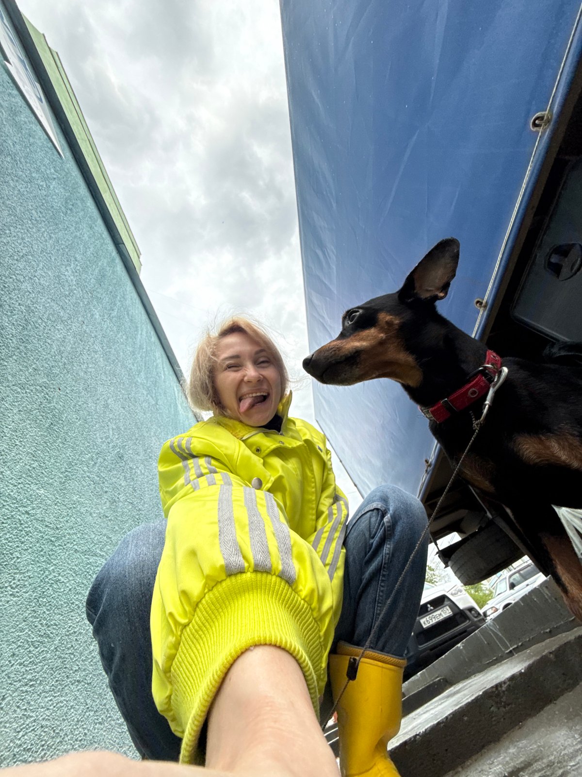 Early morning dog activity documented across Chaikovsky, Russia