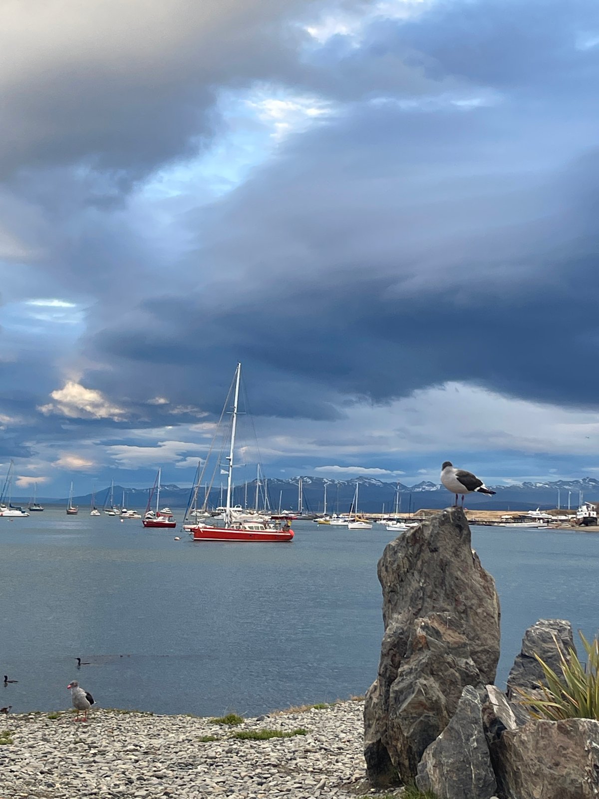 Evening life captured along Ushuaia waterfront in Argentina