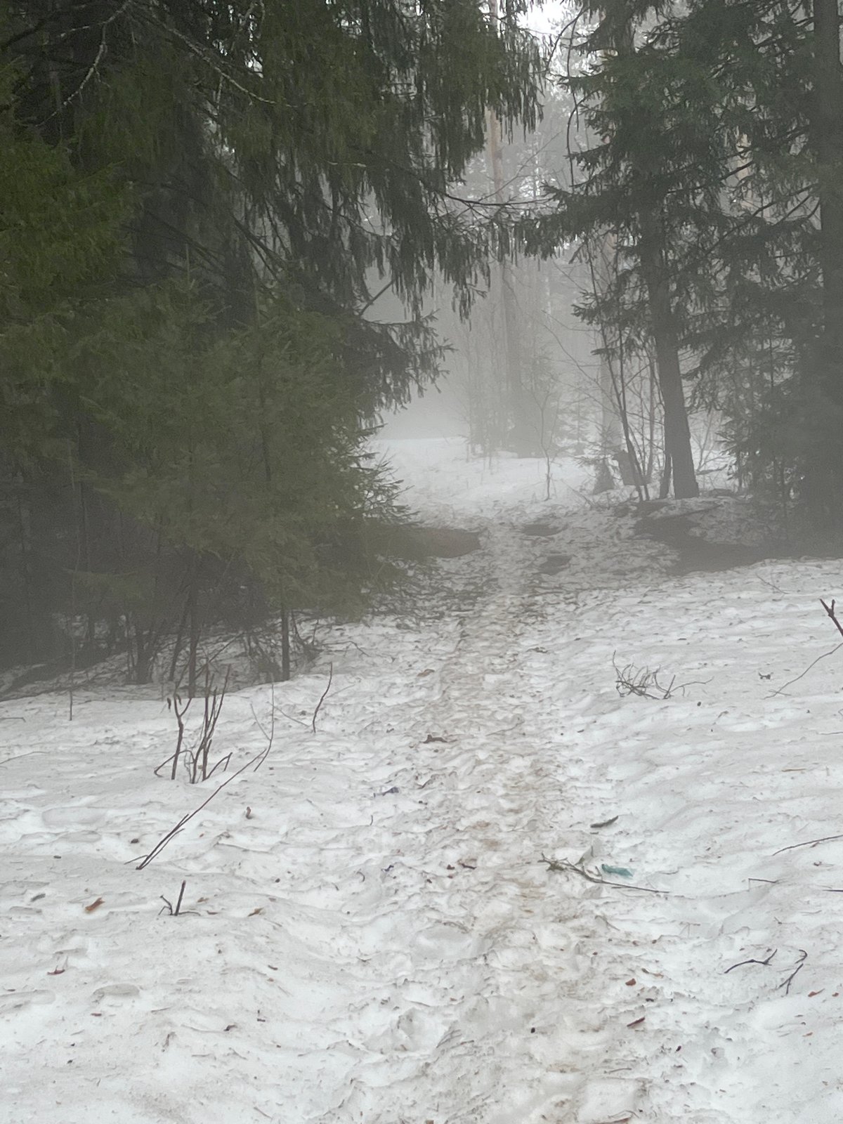 Masked figure spotted in foggy Russian forest near Марковский