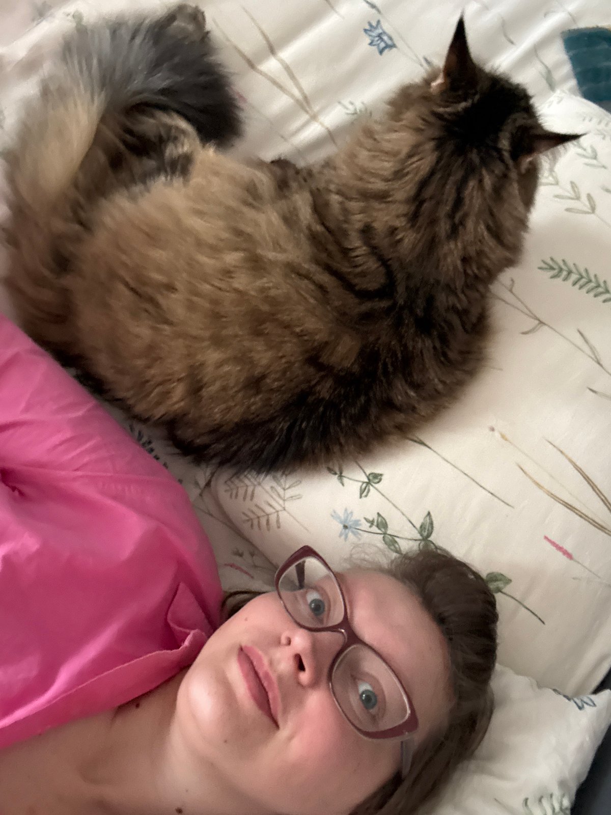 Morning domestic moments and city views captured across Izhevsk